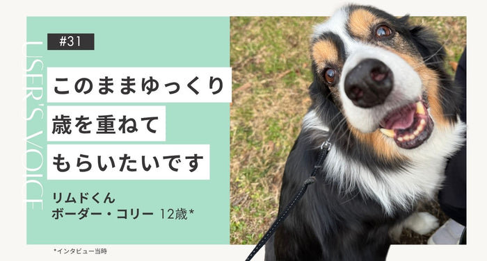 トライザ飼い主さまインタビュー#31｜このままゆっくり歳を重ねてもらいたいです｜リムドくん（ボーダー・コリー 12歳）