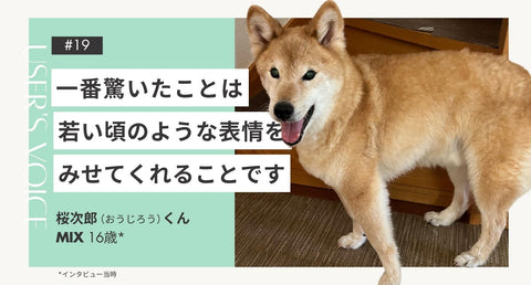 トライザ飼い主さまインタビュー#19｜一番驚いたことは若い頃のような表情をみせてくれることです｜桜次郎くん（MIX 16歳）