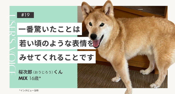 トライザ飼い主さまインタビュー#19｜一番驚いたことは若い頃のような表情をみせてくれることです｜桜次郎くん（MIX 16歳）