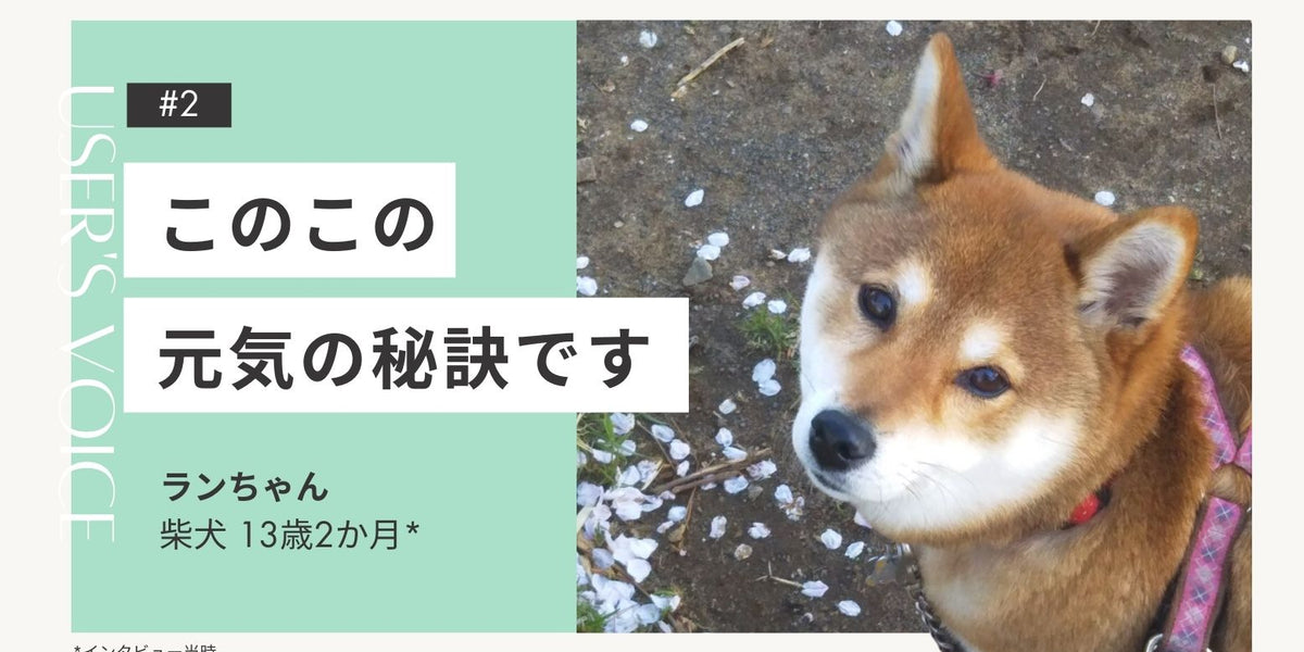 小動物の老令病 1_86c137c0-fa32-430a-8c7d-