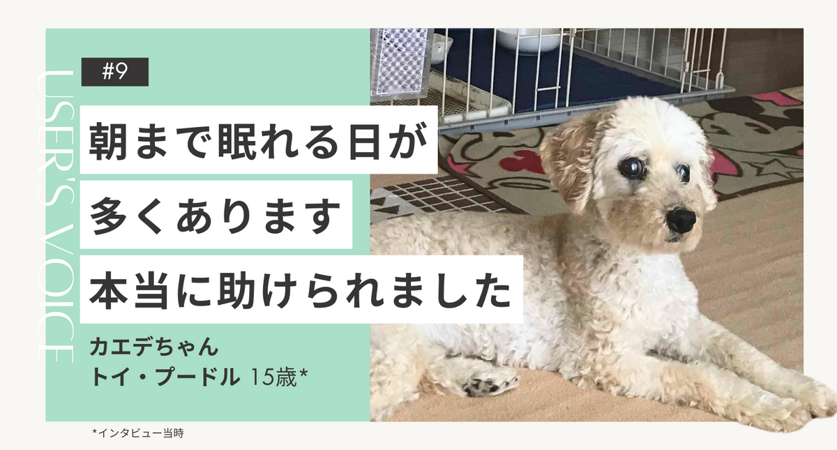 シニア犬用サプリメント「トライザ」｜飼い主さまインタビュー#9 | TRIZA