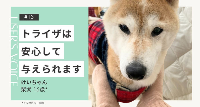 飼い主さまインタビュー#13｜トライザは安心して与えられます｜けいちゃん（柴犬 15歳）