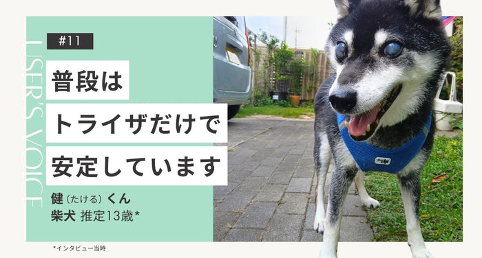 飼い主さまインタビュー#11｜普段はトライザだけで安定しています｜健くん（柴犬 推定13歳）