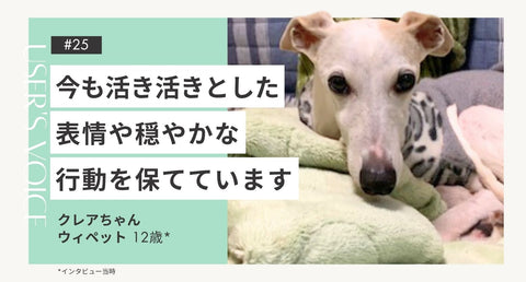 トライザ飼い主さまインタビュー#25｜今も活き活きとした表情や穏やかな行動を保てています｜クレアちゃん（ウィペット 12歳）