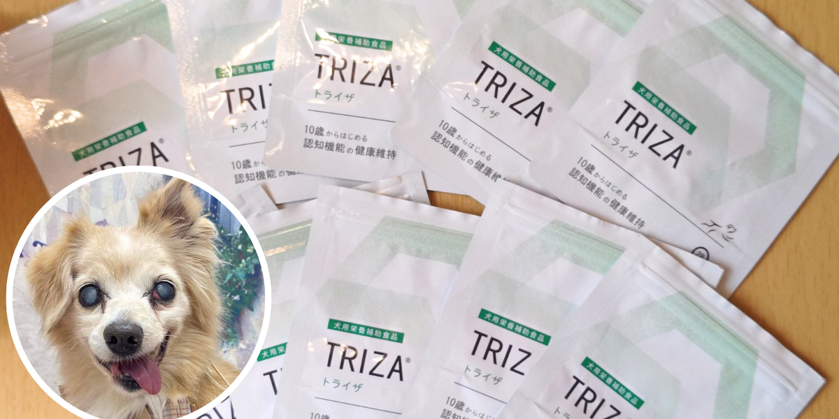 犬用サプリメント】トライザの口コミ評判は？定期購入してわかっ
