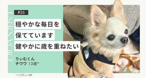 トライザ飼い主さまインタビュー#26｜穏やかな毎日を保てています 健やかに歳を重ねたい｜りぃむくん（チワワ 13歳）