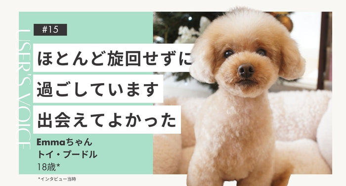トライザ飼い主さまインタビュー#15｜ほとんど旋回せずに過ごしています 出会えてよかった｜Emmaちゃん（トイ・プードル 18歳）