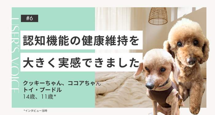 飼い主さまインタビュー#6｜認知機能の健康維持を大きく実感できました｜クッキーちゃん、ココアちゃん（トイ・プードル 14歳、11歳）