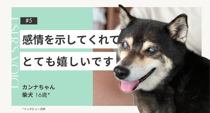 飼い主さまインタビュー#5｜感情を示してくれてとても嬉しいです｜カンナちゃん（柴犬 16歳）