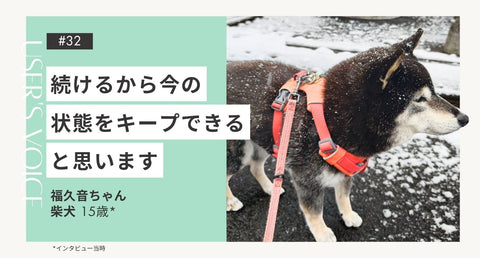 トライザ飼い主さまインタビュー#32｜続けるから今の状態をキープできると思います｜福久音ちゃん（柴犬 15歳）