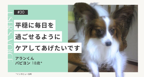 トライザ飼い主さまインタビュー#30｜平穏に毎日を過ごせるようにケアしてあげたいです｜アランくん（パピヨン 18歳）