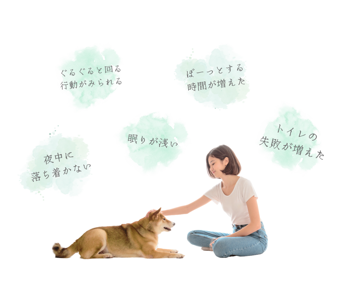 TRIZA 官方高齡犬變化說明圖片