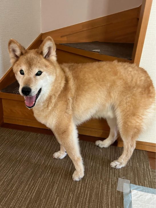 一番驚いたことは若い頃のような表情をみせてくれることです